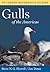 Gulls of the Americas
