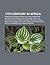 17th Century in Africa: Kingdom of Kongo, Kongo Civil War, Kingdom of Mutapa, Rozwi Empire, Treaty of Axim, Treaty of Butre, Battle of Kitombo