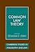 Common Law Theory (Cambridge Studies in Philosophy and Law)