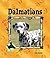 Dalmatians
