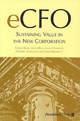 eCFO: Sustaining Value in the New Corporation (Hardcover)