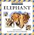 Elephant (Zoo Animals in the Wild)