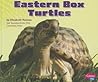 Eastern Box Turtles (Pebble Plus) Eastern Box Turtles (Pebble Plus)