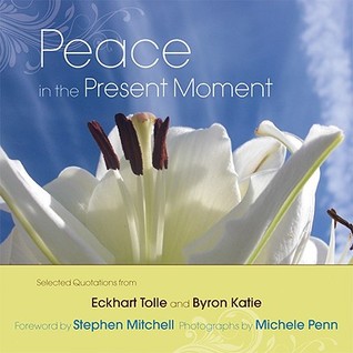 Peace in the Present Moment (Hardcover)