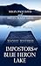 Impostors at Blue Heron Lake (Mainely Mysteries #3)