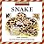 Snake (Zoo Animals in the Wild)
