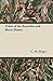 Times of the Remedies and Moon Phases by C.M. Boger