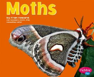 Moths (Bugs, Bugs, Bugs!)