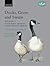 Ducks, Geese, and Swans: 2-Volume Set