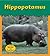 Hippopotamus (Zoo Animals)