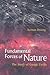 Fundamental Forces Of Nature by Kerson Huang