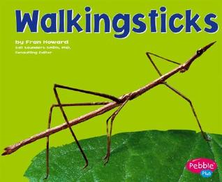 Walkingsticks (Bugs, Bugs, Bugs!)