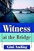 Witness at the Bridge