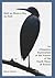 Half an Hour a Day on Foot: An Obsessive Exploration of the Nature and History of the South Shore of Boston