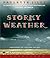 Stormy Weather by Paulette Jiles Stormy Weather by Paulette Jiles