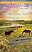Second Chance Ranch (Love Inspired: Home on the Ranch)