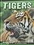 Tigers (Big Cats)
