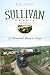 Sullivan County by John Conway