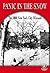 Panic in the Snow by Bonnie Highsmith Taylor