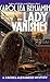 Lady Vanishes: A Rachel Alexander Mystery