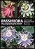 Passiflora by Torsten Ulmer