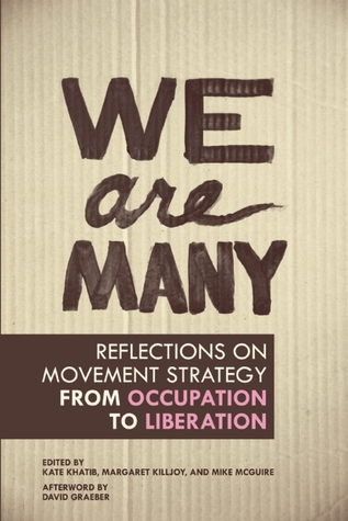 We Are Many: Reflections on Movement Strategy from Occupation to Liberation (Paperback)