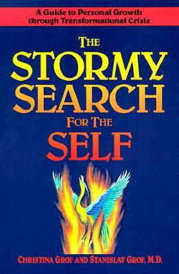The Stormy Search for the Self (Paperback)