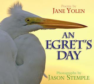 An Egret's Day (Hardcover)