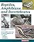 Reptiles, Amphibians and Invertebrates: An Identification and Care Guide