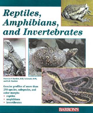 Reptiles, Amphibians and Invertebrates: An Identification and Care Guide (Paperback)