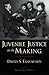 Juvenile Justice in the Making (Studies in Crime and Public Policy)
