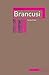 Constantin Brancusi (Critical Lives)