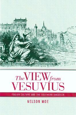 The View from Vesuvius: Italian Culture and the Southern Question (Hardcover)