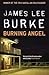 Burning Angel (Dave Robiche...