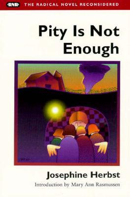 Pity Is Not Enough (Paperback)