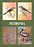 Petronia: Fifty Years of Post-Independence Ornithology in India : A Centenary Dedication to Dr. Salim Ali 1896-1996