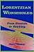 Lorentzian Wormholes: From Einstein to Hawking (AIP Series in Computational and Applied Mathematical Physics)