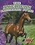 The American Saddlebred Horse (Horse Breed Roundup)