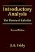 Introductory Analysis: The Theory of Calculus