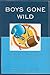 Boys Gone Wild: Fame, Fortune, And Deviance Among Professional Football Players