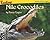 Nile Crocodiles (Readings: Animals of Africa)