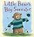 Little Bear's Big Sweater