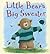 Little Bear's Big Sweater