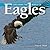 Exploring the World Of Eagles