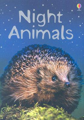 Night Animals (Usborne Beginners)