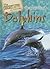 The Secret Lives of Dolphins