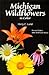 Michigan Wildflowers in Col...