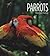 Parrots