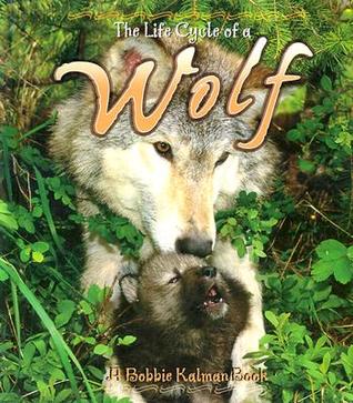 The Life Cycle of a Wolf (Library Binding)