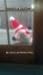 Santa's a Zombie?
